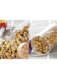 Y&D Straight Mouth Glass Bottle, 10 Sets 50 ML Transparent Decoration Bottles with Cork Stoppers Tiny Vials for Wish Wedding Favors Art Crafts DIY (3.93 Inch x 1.16 Inch)  - Image 2