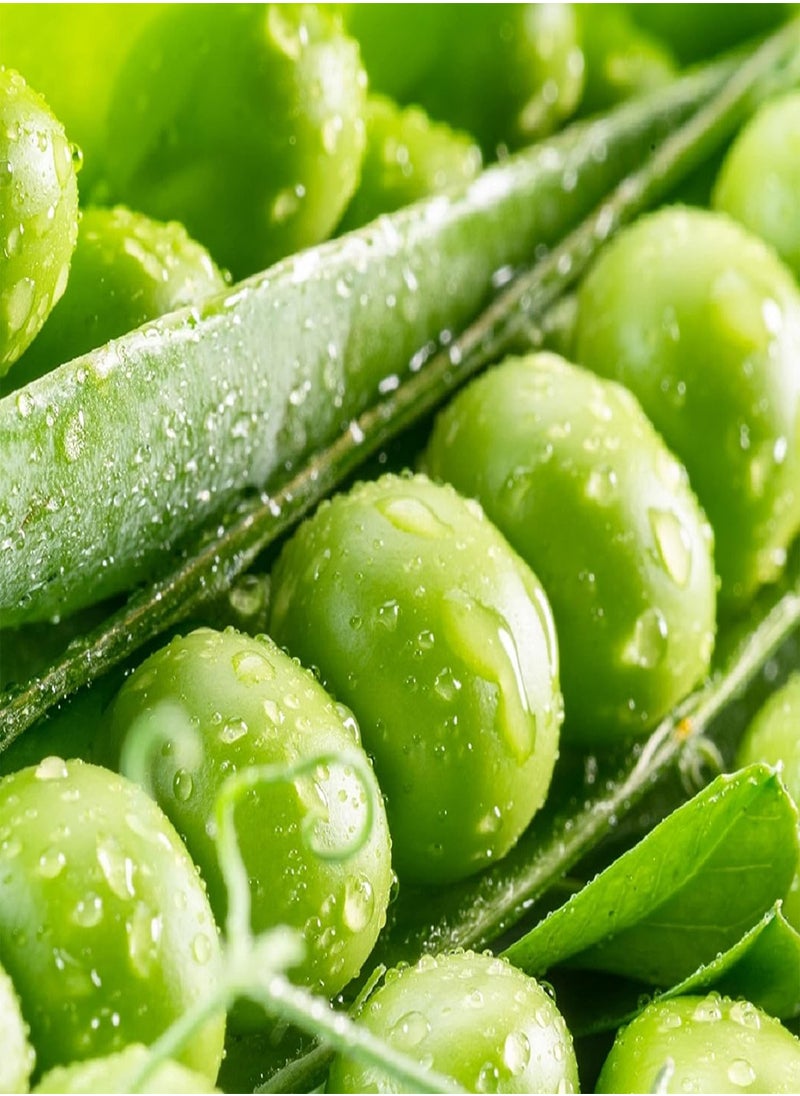 GGOOT Bulk Pea Seeds for Planting - Grow Mammoth Snow Melting Sugar Pod Peas in Home Outdoor Garden - Non-GMO Heirloom with Instructions to Plant a Home Vegetable Garden (4 Ounces)  - Image 1