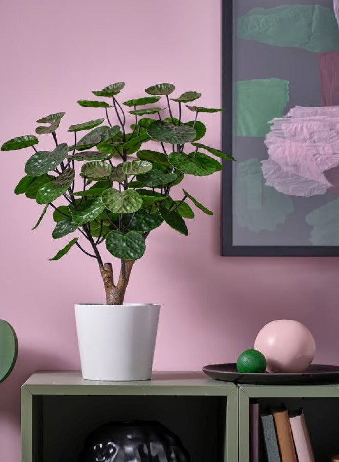 آيكيا فراكتا نبات صناعي في آنية, داخلي/خارجي أراليا, 53×12 سم - Image 2