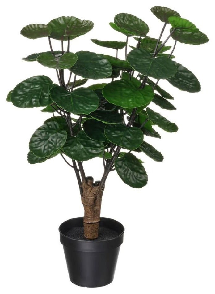 آيكيا فراكتا نبات صناعي في آنية, داخلي/خارجي أراليا, 53×12 سم - Image 1