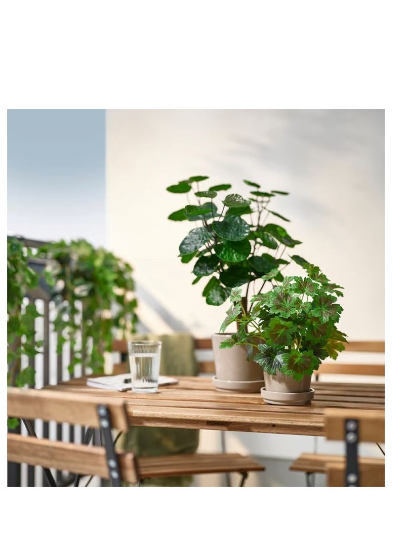 آيكيا فراكتا نبات صناعي في آنية, داخلي/خارجي أراليا, 53×12 سم - Image 3