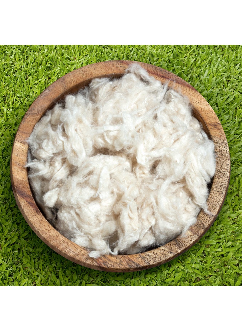 Bean Products Bean Products Premium Kapok Fill  5 lbs  100 Organic Kapok Fiber  Chemical Free and Hypoallergenic  Perfect for Pillows Pet Beds Couches  More  Made in USA 