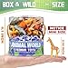 Yeonhatoys Yeonha Toys 60 Piece Mini Zoo Animal Toy with Gift Box Realistic Small Plastic Animal Figure Sensory Bins Jungle Party Favors Cupcake Topper School Education Birthday Gifts for Kids Toddlers - Image 2