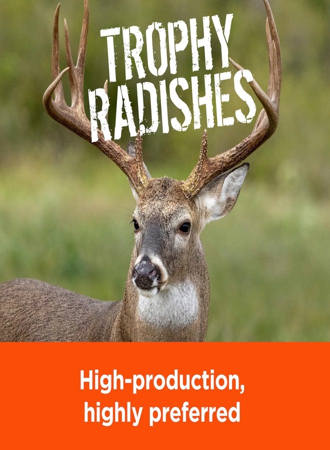 Pennington 100504528 Rackmaster Trophy Radishes Food Plot Seed Mix, 5 lb, None - Image 3