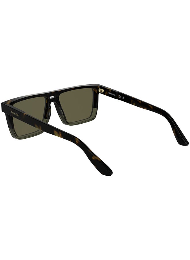 CALVIN KLEIN نظارات شمسية كاملة الإطار من أسيتات كالفن كلاين CK25501S 5716 (235) داكن هافانا/خاكي - Image 2