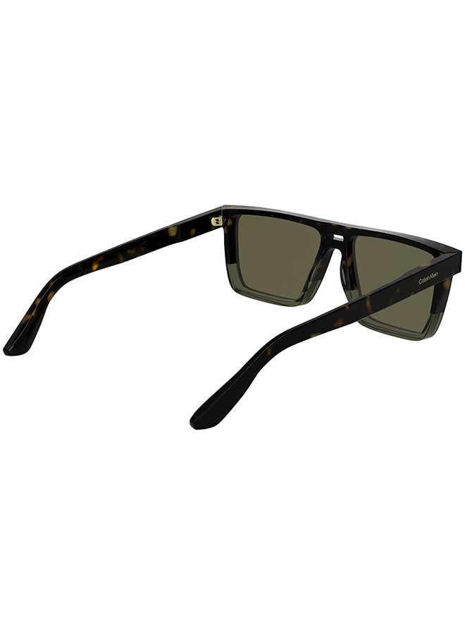 CALVIN KLEIN نظارات شمسية كاملة الإطار من أسيتات كالفن كلاين CK25501S 5716 (235) داكن هافانا/خاكي - Image 4