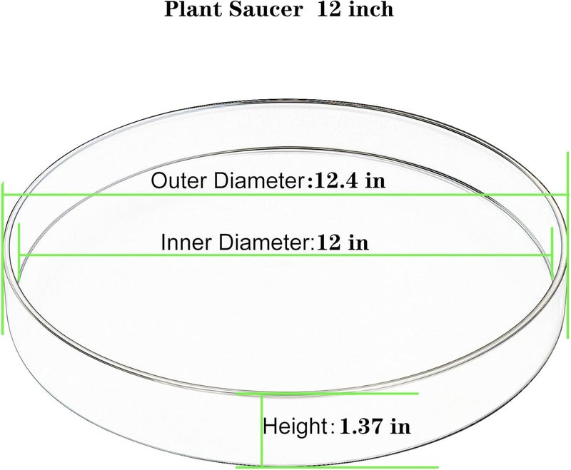 Afrine Plant Saucer, Plant Saucers - Image 2