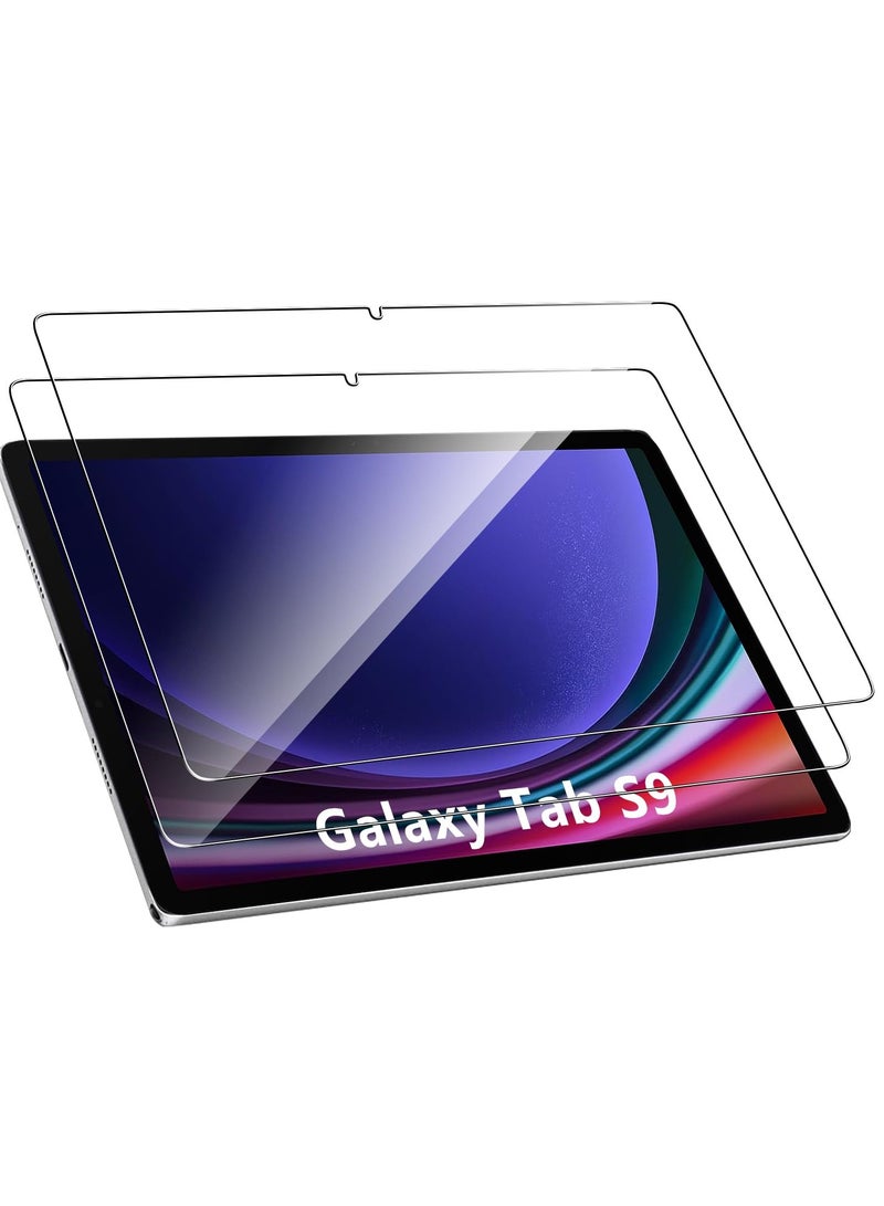 SYOSI 2 Pack Tempered Glass for Samsung Galaxy Tab S9 Screen Protector,9H Hardness,Ultra Resistant,Anti-Fingerprints,No Bubbles,HD-Clear,Full Coverage Samsung Tab S9 Tablet Film - Image 1