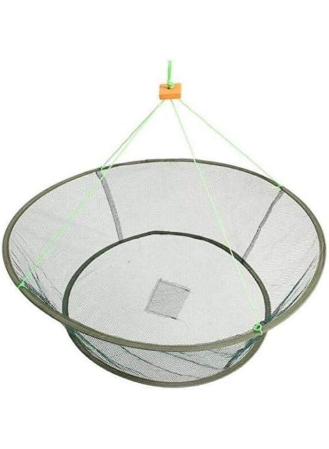 EatingBiting Portable Prawn Bait Crab Shrimp Net Drop Landing Fishing Pier Harbour Pond 31.5" Folding Fishes Net Perfect for Keeping Fishes Minnows Crab Lobsters (can not Hold a Large Fish) - Image 4