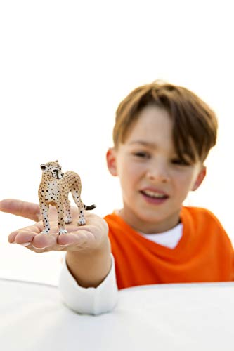 Schleich Wild Life Animal Figurine Animal Toys for Boys and Girls 38 years old Female Cheetah Ages 3 - Image 3