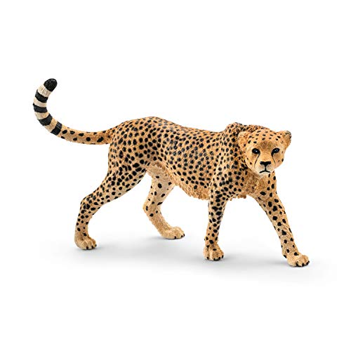 Schleich Wild Life Animal Figurine Animal Toys for Boys and Girls 38 years old Female Cheetah Ages 3 - Image 1