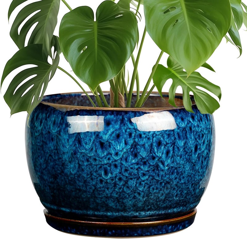 SQOWL 10 Inch Plant Pot - Ceramic Planter Pot with Drainage Hole and Saucer, Decorative Plant Pot for Indoor Outdoor Plants, Round Large Planter Flower Pot, Blue - Image 1