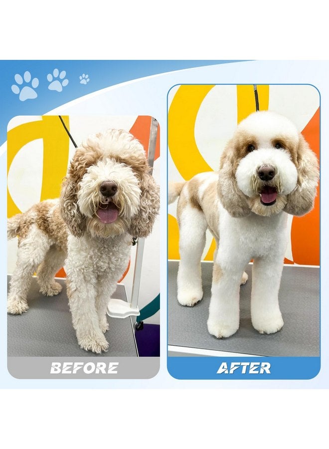 جيسون طقم مقصات العناية بالكلاب من جيسون، مجموعة مقصات احترافية للكلاب 6 في 1 - مقص ترقق 6.5 بوصة، مقص مستقيم 7 بوصة، مقص منحني لأعلى 7 بوصة، مقص منحني لأسفل 7 بوصة ومشط للكلاب والقطط والحيوانات الأليفة (فضي) - Image 4