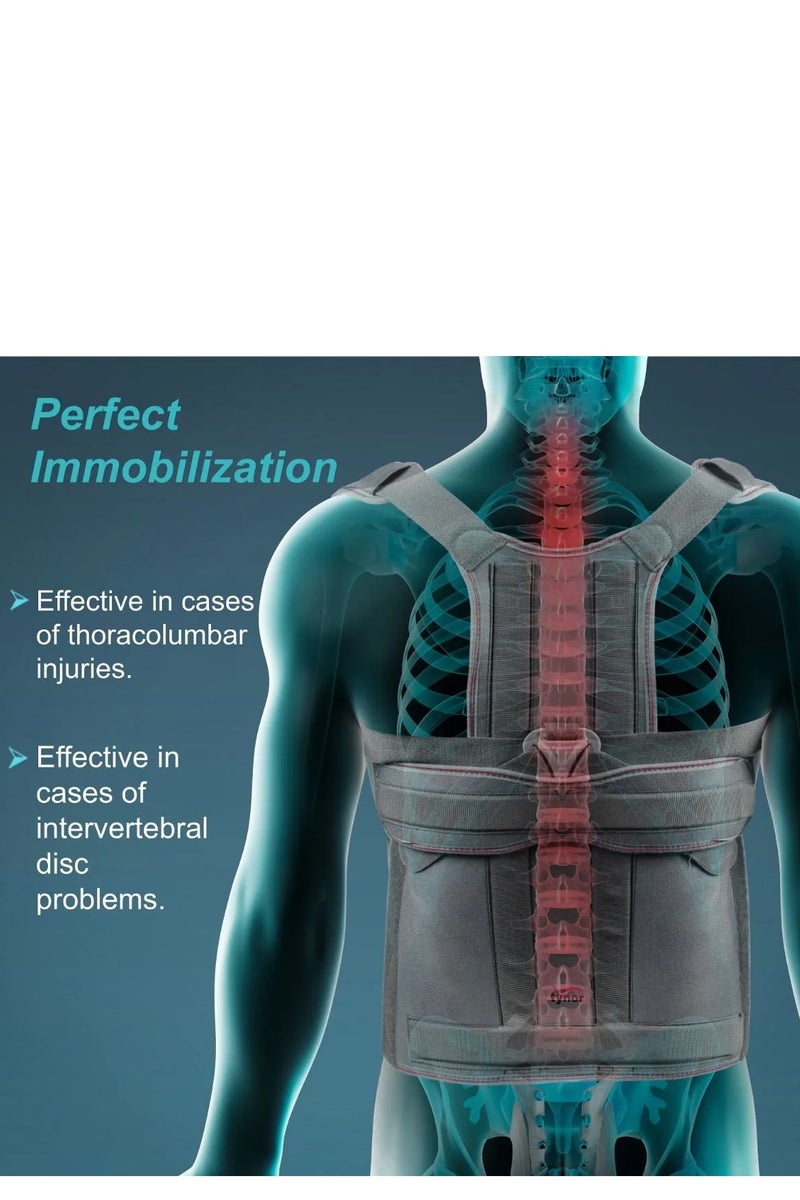 تاينور دعامة تاينور تايلور الطويلة بمقاس عالمي - Image 2