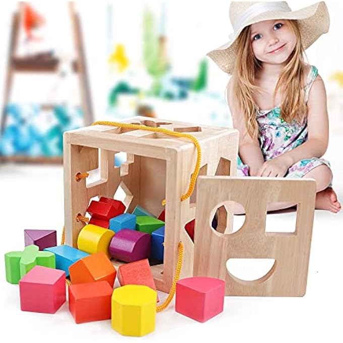 19 HOLES SHAPE SORTER TOY, MY FIRST WOODEN COLORFUL BUILDING BLOCKS, GEOMETRY RECOGNITION SHAPE PUZZLE, LEARNING MATCHING AND SORTING TOY FOR TODDLERS BABY KIDS (19 HOLES) - Image 2
