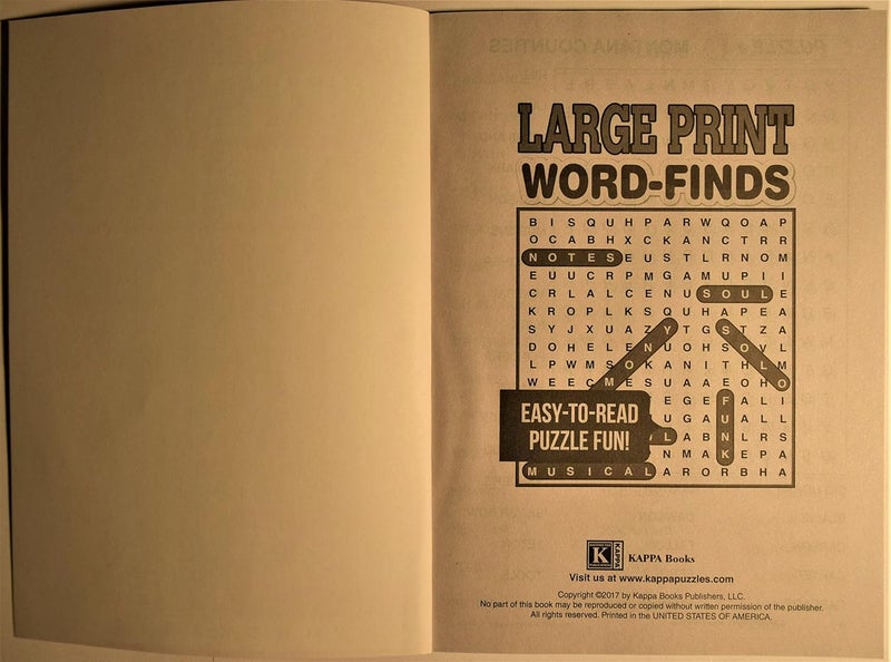 Kappa Publication 3842 Large Print WordFinds Assorted Volumes Multi - Image 2