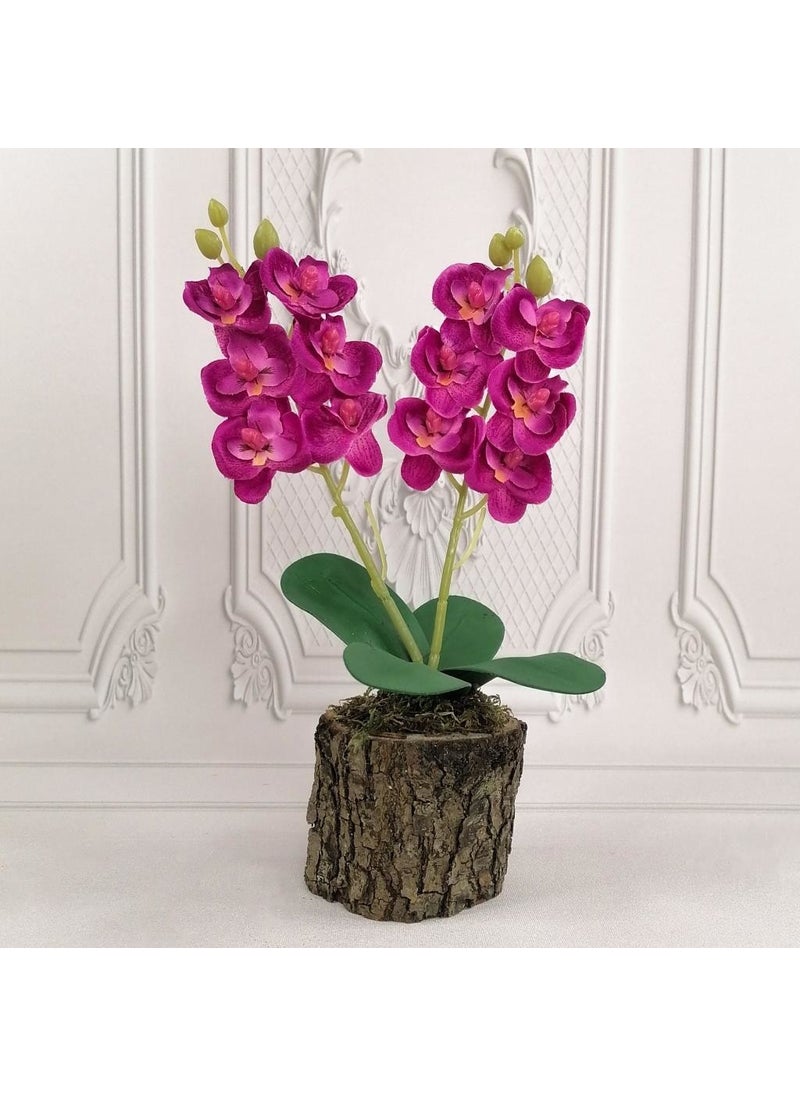 Nettenevime Artificial Wooden Log Potted Mini Orchid Set of 3 Decorative Gift - pzsku/Z575B3716006F3D34920FZ/45/_/1725723611/6aa7eef7-ea06-461a-a00b-70346fd95d7e