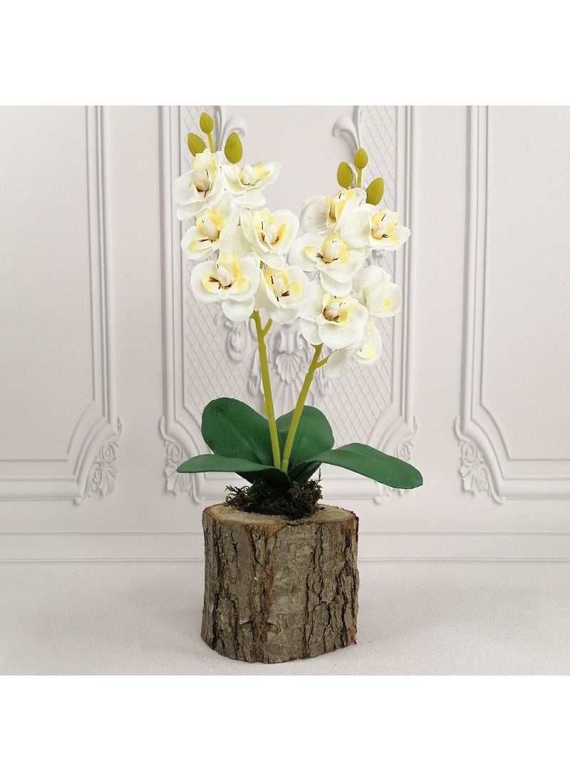 Nettenevime Artificial Wooden Log Potted Mini Orchid Set of 3 Decorative Gift - pzsku/Z575B3716006F3D34920FZ/45/_/1725723612/574ba3a4-86a3-40ec-a255-4c17e8751cf7