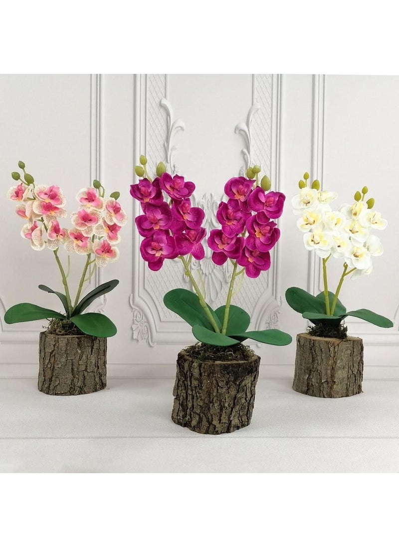 Nettenevime Artificial Wooden Log Potted Mini Orchid Set of 3 Decorative Gift - pzsku/Z575B3716006F3D34920FZ/45/_/1725723618/87fa8527-0139-4695-ab9f-f2ae0cc32729