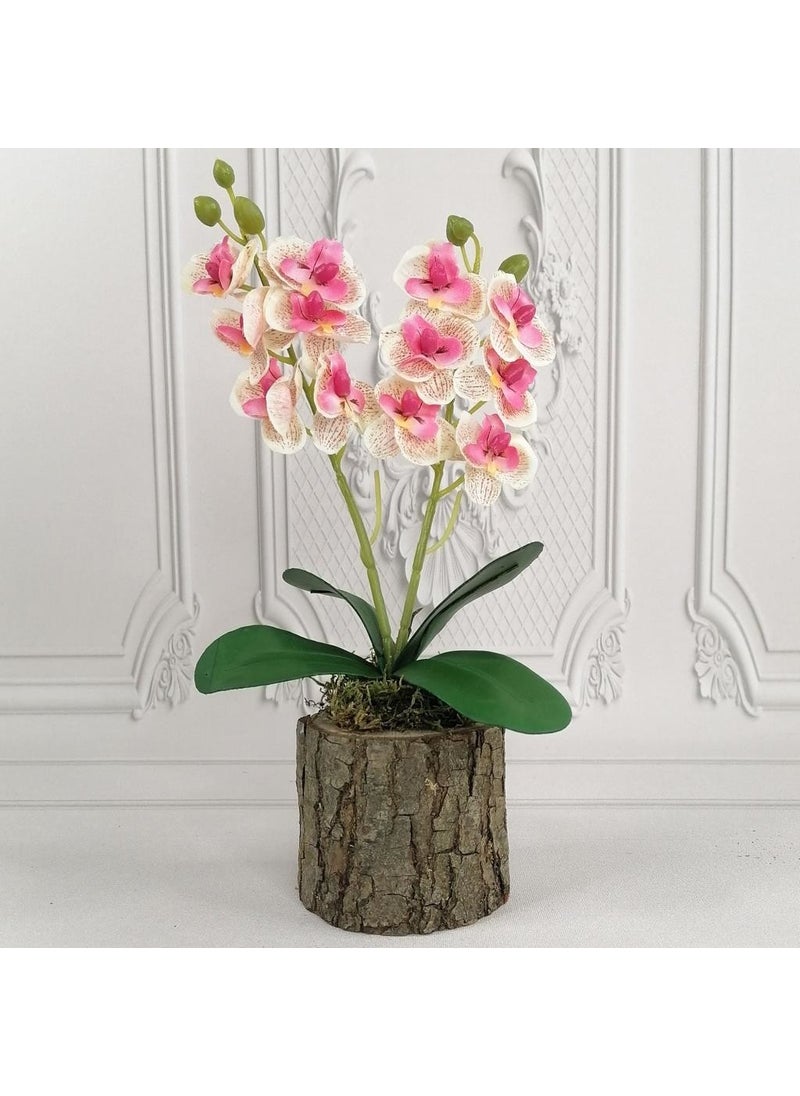 Nettenevime Artificial Wooden Log Potted Mini Orchid Set of 3 Decorative Gift - pzsku/Z575B3716006F3D34920FZ/45/_/1728062811/0846e1fb-c3c8-4804-8ec0-460df71ae66b