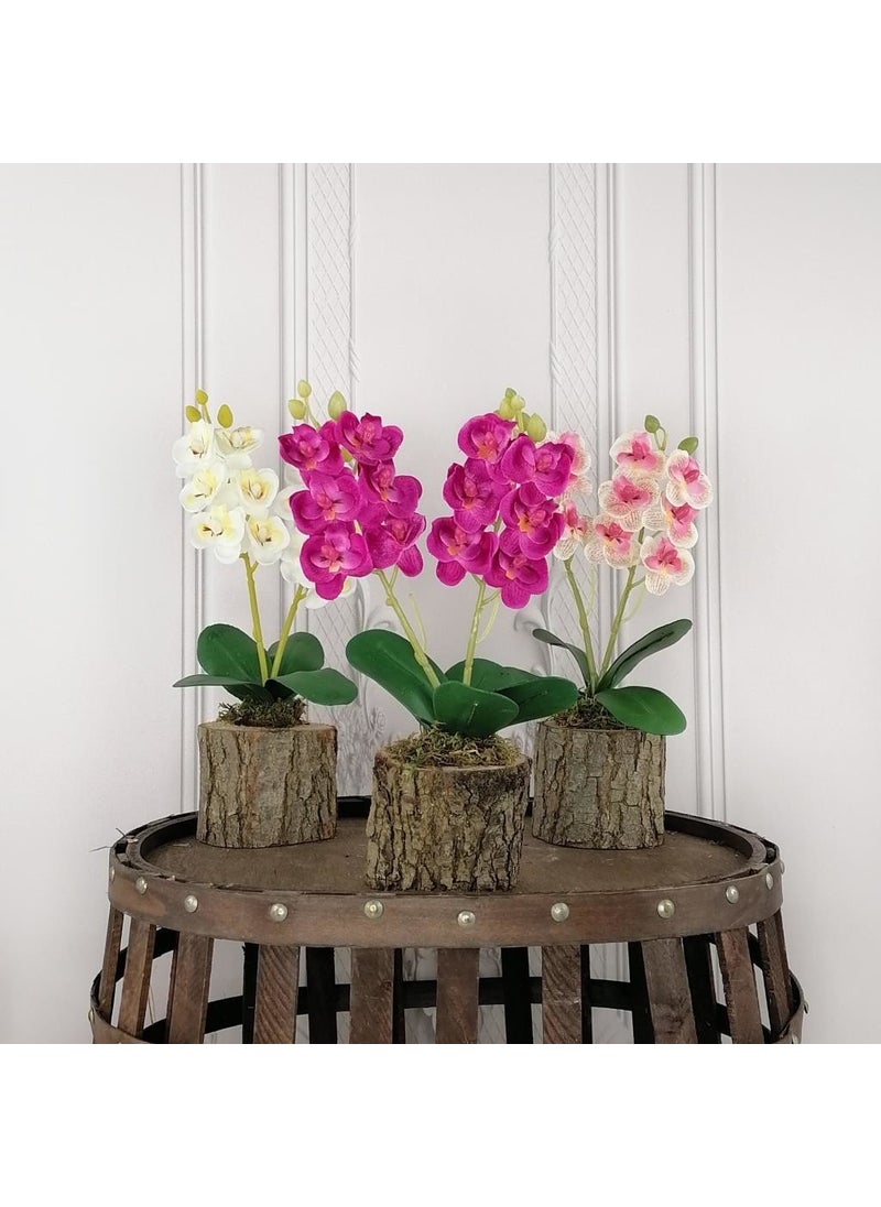 Nettenevime Artificial Wooden Log Potted Mini Orchid Set of 3 Decorative Gift - pzsku/Z575B3716006F3D34920FZ/45/_/1728062812/89f8ae8b-755d-4e0c-ae1e-06d63ae371a5