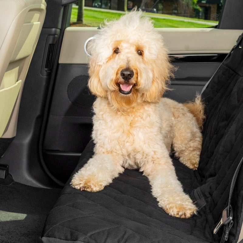 PetSafe Happy Ride Quilted Bench Seat Cover LongLasting Waterproof Padded Backseat Protection with Secure Seatbelt Access Keeps Leather Seats Clean Protects from Scratches