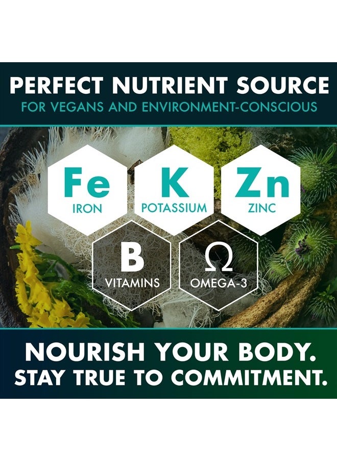 SECRET ELEMENT - Wildcrafted Sea Moss Bladderwrack+Burdock Root 120 Veggie Capsules - Image 1