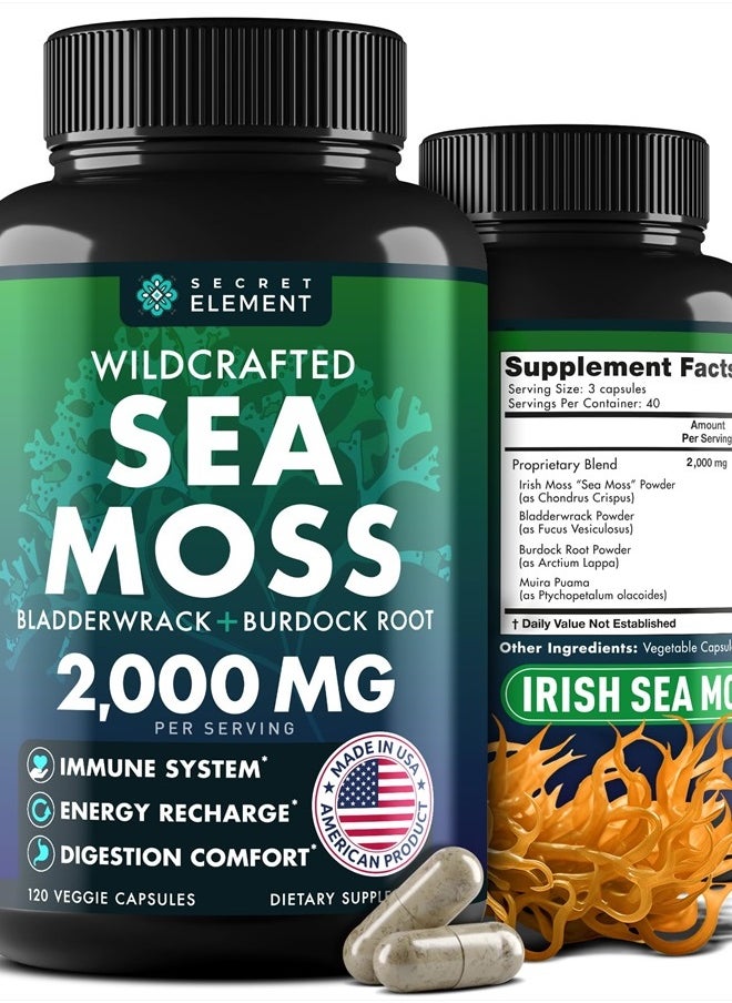 SECRET ELEMENT - Wildcrafted Sea Moss Bladderwrack+Burdock Root 120 Veggie Capsules - Image 1