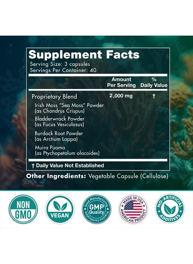 SECRET ELEMENT - Wildcrafted Sea Moss Bladderwrack+Burdock Root 120 Veggie Capsules - Image 1