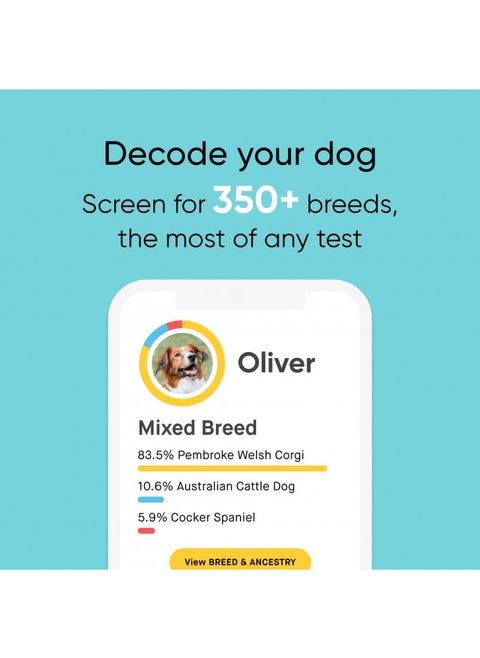 Embark Breed Identification Kit | Most Accurate Dog DNA Test | Test 350+ Dog Breeds | Breed ID Kit with Ancestry & Family Tree