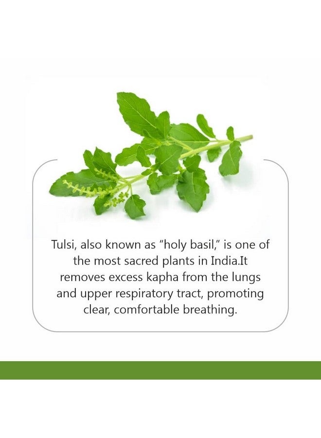 Jain Tulsi Ocimum Sanctum/Holy Basil Pure Powder - 400 g - Image 5