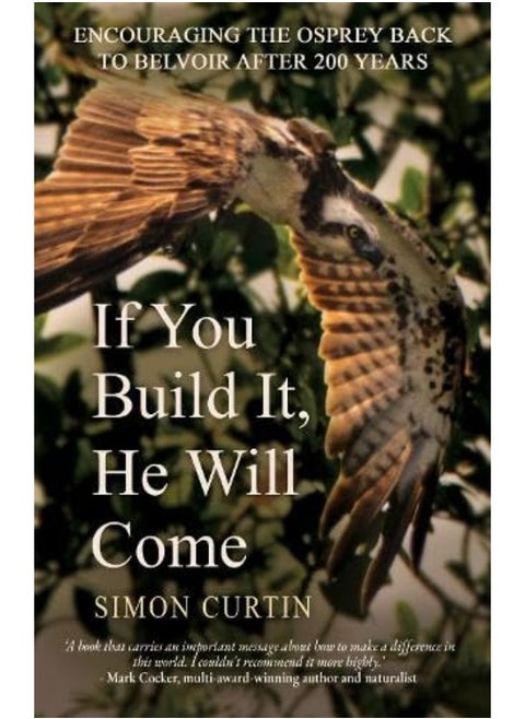 If You Build It, He Will Come
