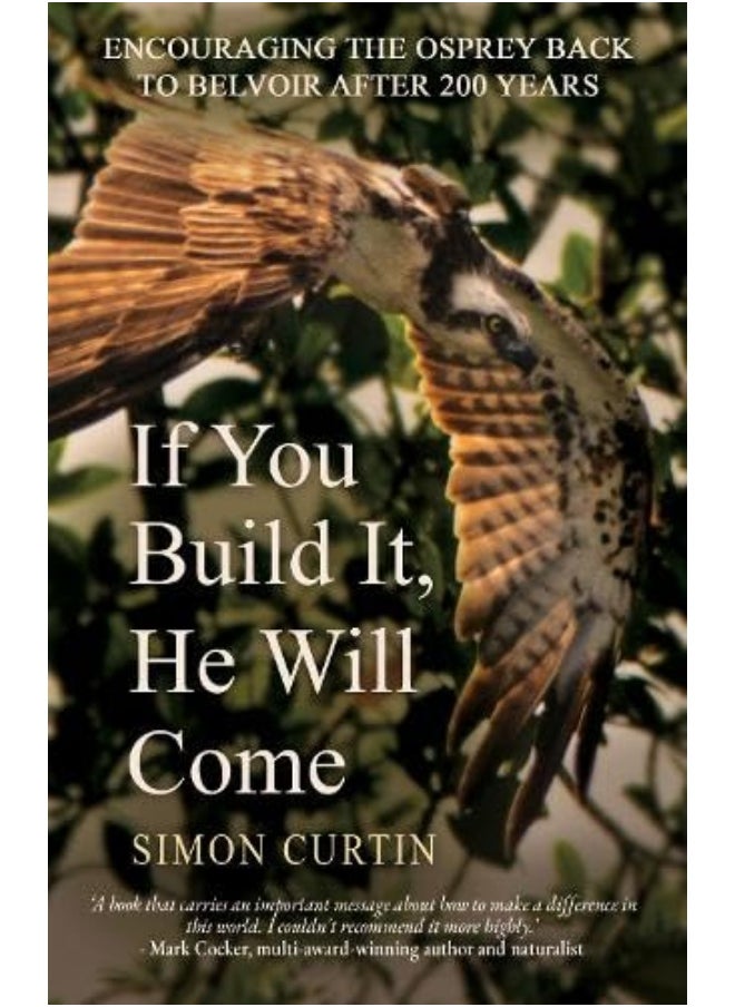 If You Build It, He Will Come