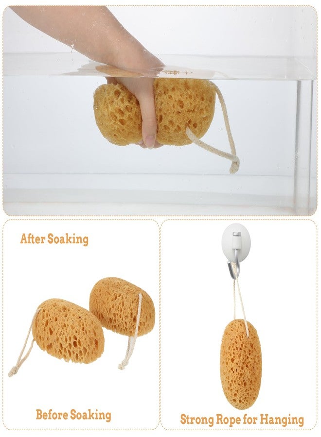 Zyghjort Shower Sponge, 2 Pcs Large Bath Sponges for Shower Body Scrubber Soft Loofah Exfoliating Sponge for Women Men Home Bathroom Face Body Washing Bathing Deep Cleansing - Image 4