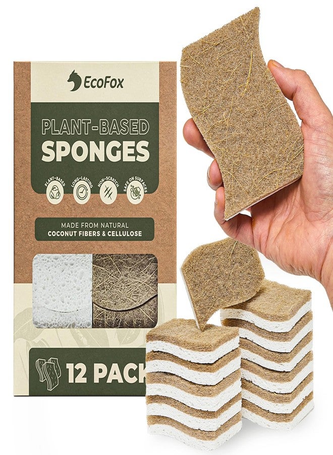 EcoFox Plant-Based Kitchen Sponges (12 Pack) | FSC-Certified & PETA Approved | Natural Cellulose & Coconut Blend Scrubber Dish Sponges for Kitchen | S-Shaped Design | Eco-Friendly, Non-Scratch & Non-Toxic - Image 1