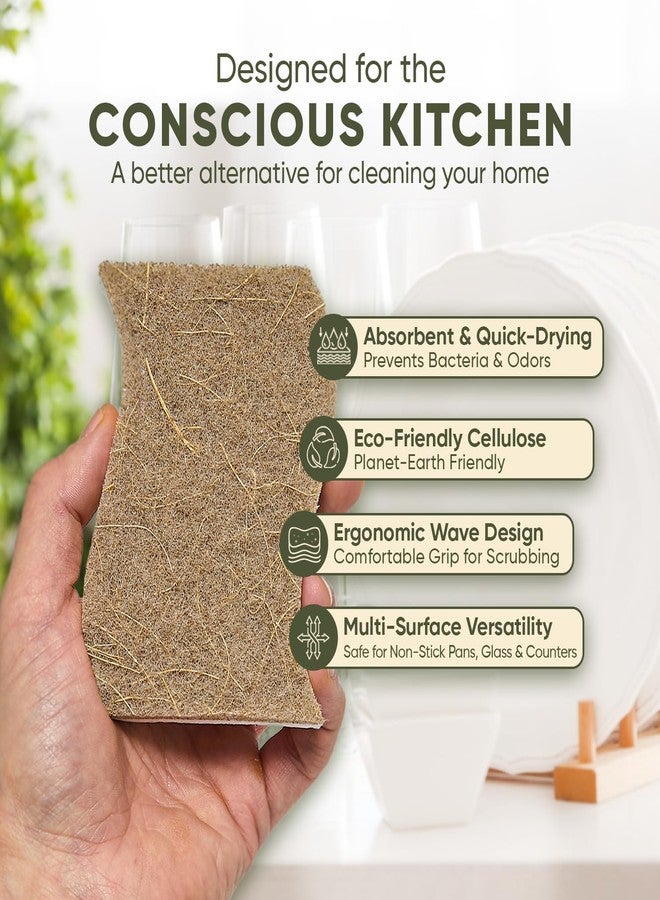 EcoFox Plant-Based Kitchen Sponges (12 Pack) | FSC-Certified & PETA Approved | Natural Cellulose & Coconut Blend Scrubber Dish Sponges for Kitchen | S-Shaped Design | Eco-Friendly, Non-Scratch & Non-Toxic - Image 2
