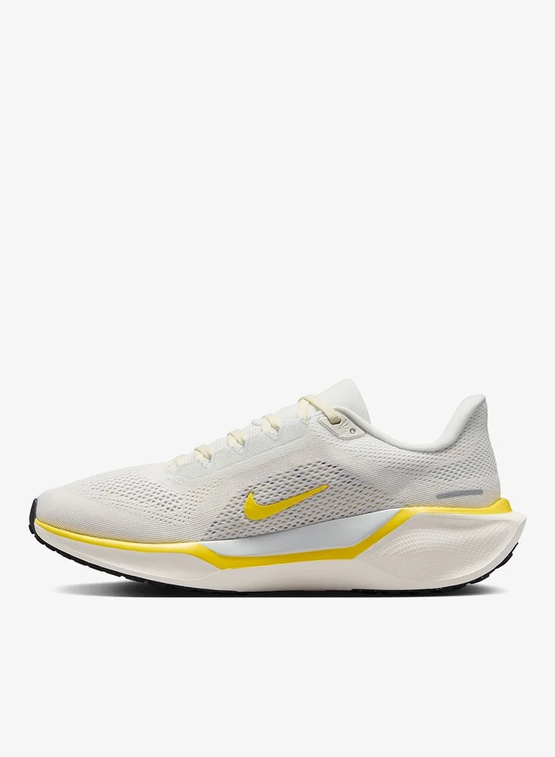 Nike Nike Pegasus 41