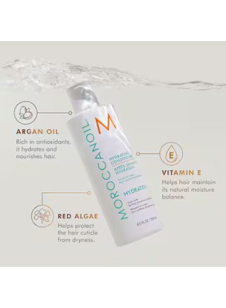 Hydrating Shampoo and Conditioner Set, 250ml Each – Sulfate-Free, Moisturizing Hair Care Duo for Dry Hair 250x2ml - view 3