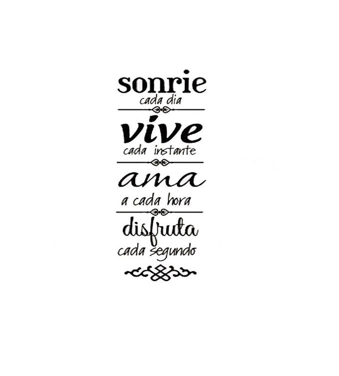 SONRIE VIVE AMA WALL DECAL HOME DECOR SPANISH FAMILY RULES DECALS ART STICKER 236X78