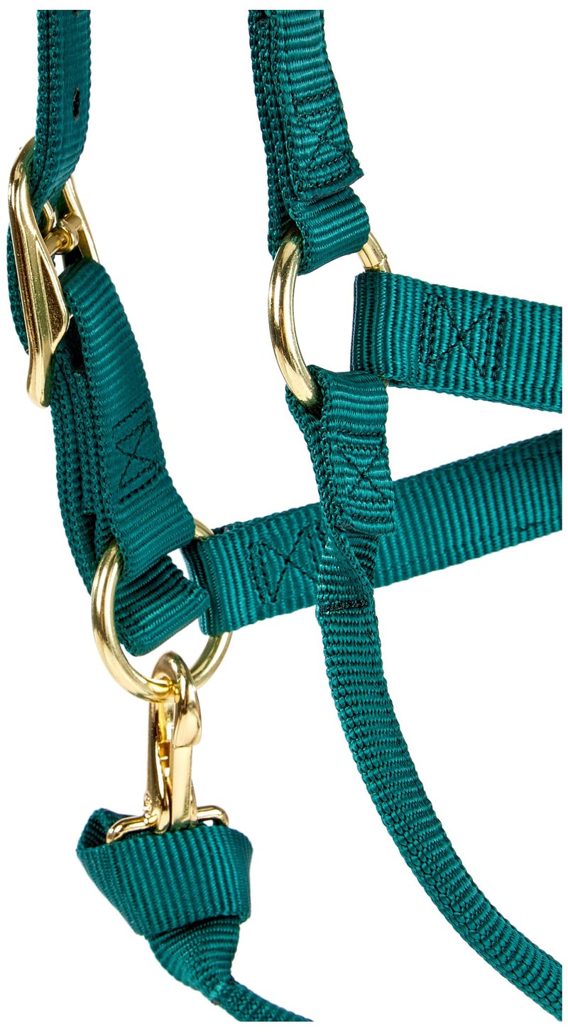 Weaver Leather 35-7035-HG 1" ADJ Hgrn Snap Halter - Image 3