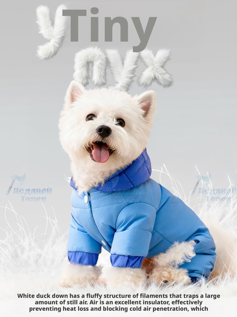 Insulated Dog Overall with Hood for Small Dogs – Duck Down, Water-Repellent - Image 2
