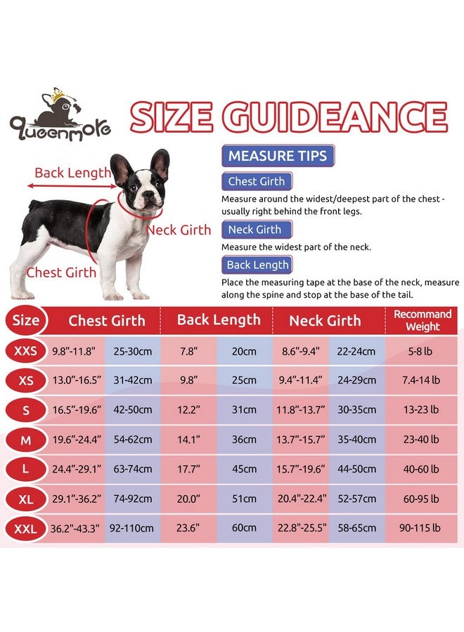Queenmore XXS Dog Sweaters, Soft Fleece Vest Pullover Dog Jacket with Leash Hole, Warm Winter Dog Clothes Cold Weather Doggy Dachshund Sweater for Small Dogs Cats Boy or Girl (Red, XXS) - Image 2