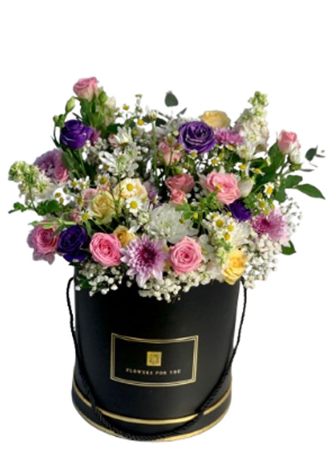 wardi Spring Morning