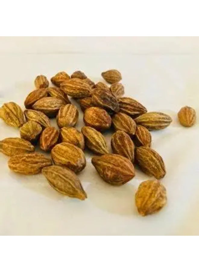 Pureherbs هارتيكي الأصفر (هالة زرد | ترميناليا تشيبولا) - Image 3
