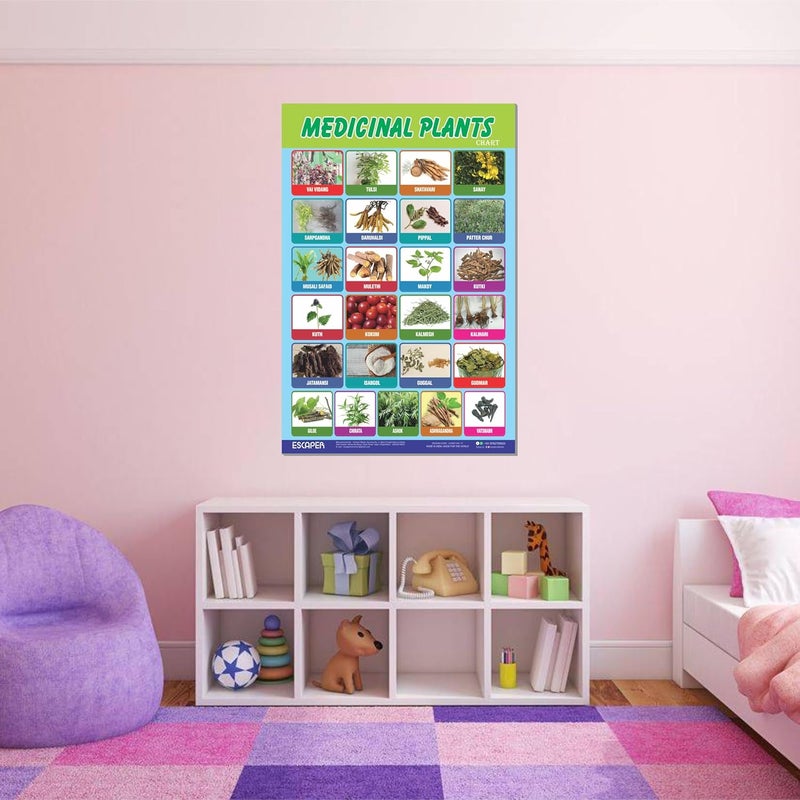 ESCAPER Medicinal Plants Educational Charts for Kids, Charts for Kids Learning (11.5 x 17.5 inches), Kids Study Material, Kids Learning Books, Educational Posters - Image 5