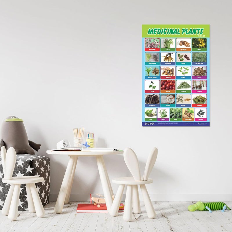 ESCAPER Medicinal Plants Educational Charts for Kids, Charts for Kids Learning (11.5 x 17.5 inches), Kids Study Material, Kids Learning Books, Educational Posters - Image 4