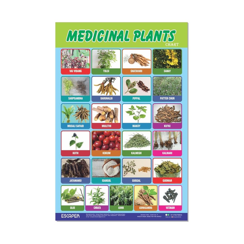 ESCAPER Medicinal Plants Educational Charts for Kids, Charts for Kids Learning (11.5 x 17.5 inches), Kids Study Material, Kids Learning Books, Educational Posters - Image 1