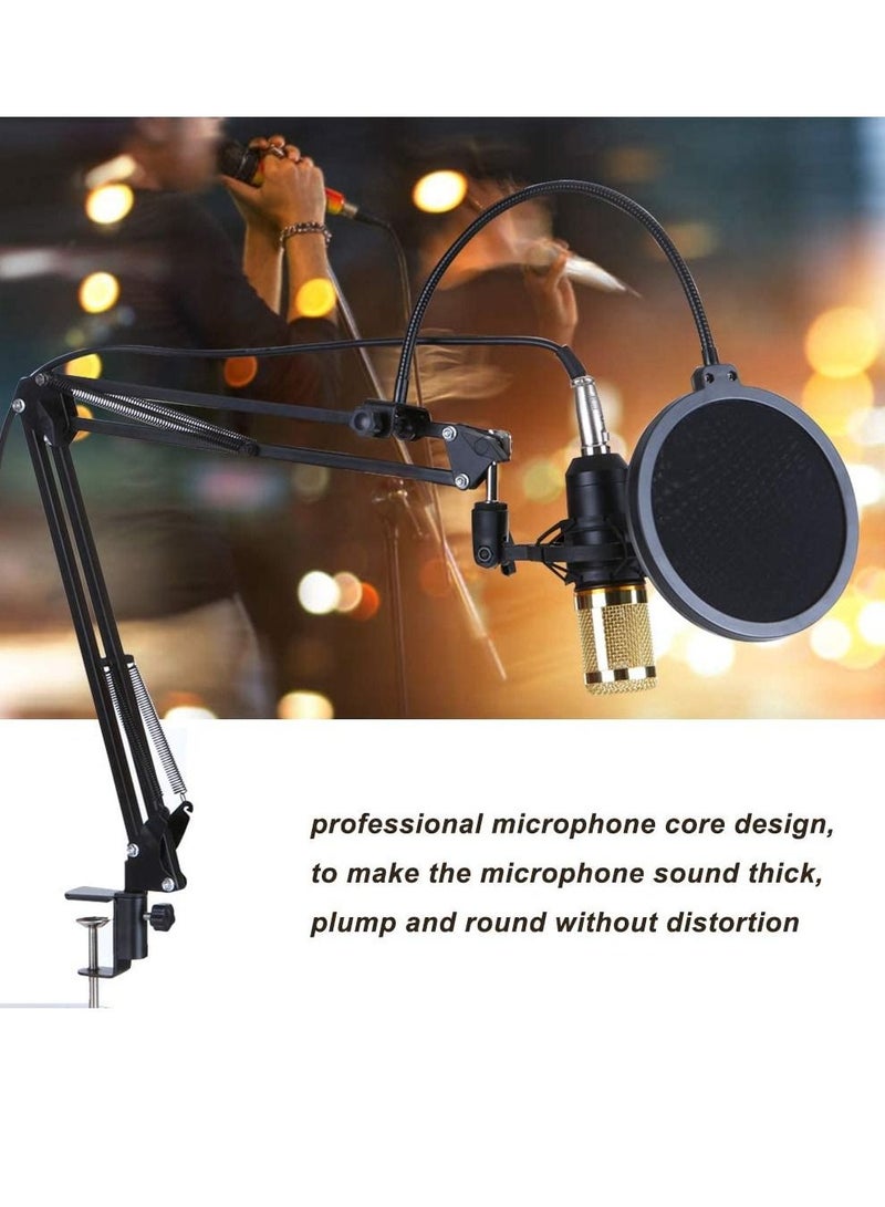 LEDIN Podcast Equipment Bundle,BM-800 Recording Studio Package with Voice Changer,Live Sound Card - Audio Interface for Laptop Computer Vlog Living Broadcast Live Streaming YouTube TikTok(V8) - Image 5