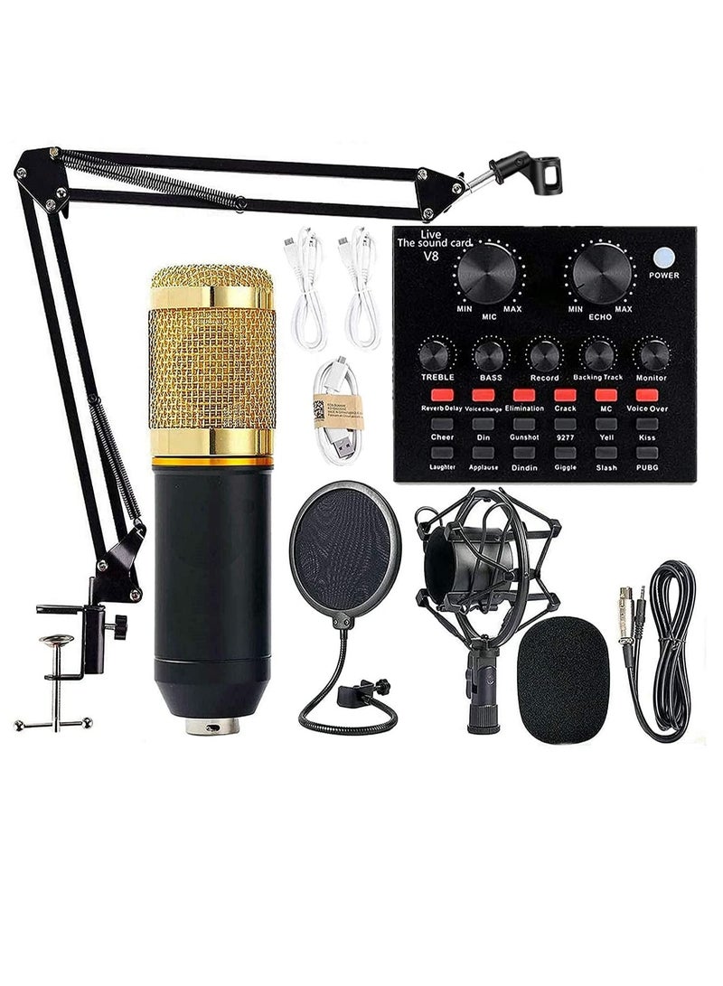 LEDIN Podcast Equipment Bundle,BM-800 Recording Studio Package with Voice Changer,Live Sound Card - Audio Interface for Laptop Computer Vlog Living Broadcast Live Streaming YouTube TikTok(V8) - Image 1