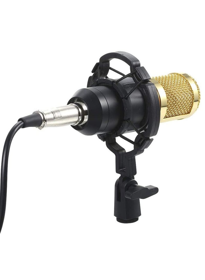 LEDIN Podcast Equipment Bundle,BM-800 Recording Studio Package with Voice Changer,Live Sound Card - Audio Interface for Laptop Computer Vlog Living Broadcast Live Streaming YouTube TikTok(V8) - Image 3